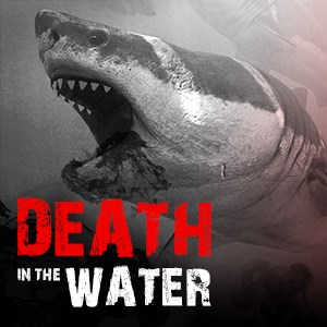 水中での死