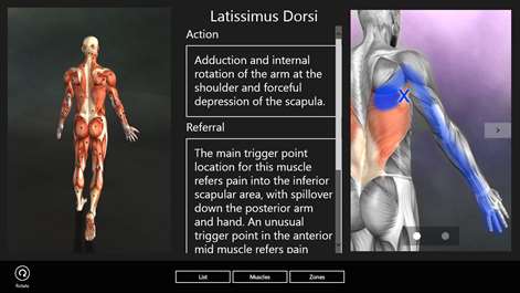 Muscle Trigger Points Screenshots 2