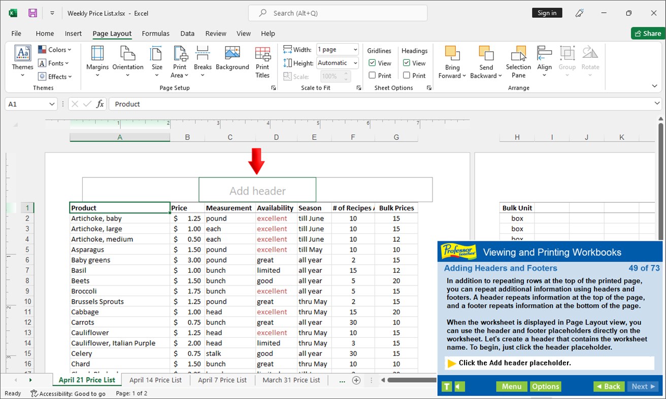 #4. Professor Teaches Excel 2021 (Windows) De: Individual Software Inc.