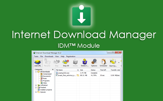 Internet Download Manager IDM™ Module