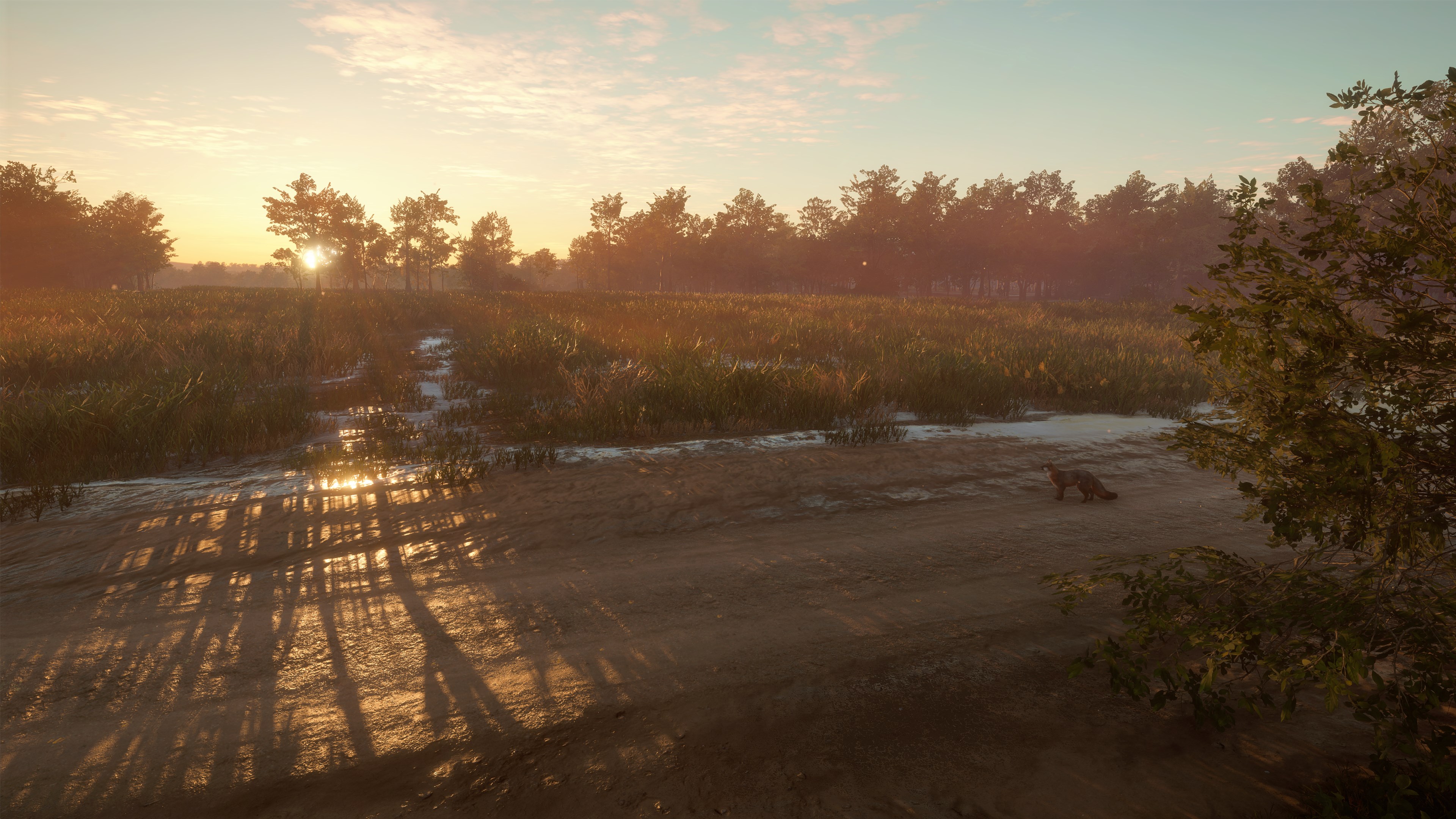 theHunter: Call of the Wild™ - Mississippi Acres Preserve - Windows 10 | Xbox | Chiave | Privato
