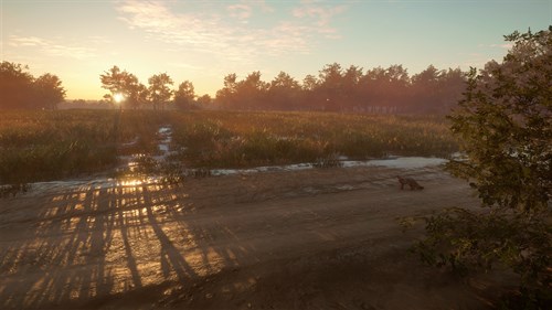 theHunter: Call of the Wild™ - Mississippi Acres Preserve