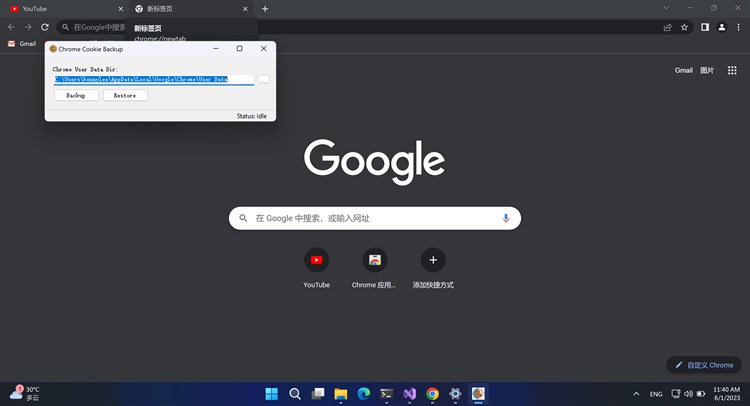 ChCookie Backup - PC - (Windows)