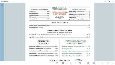 PDF Professional Screenshots 1