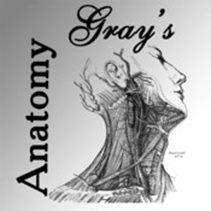 Gray's Anatomy Lite