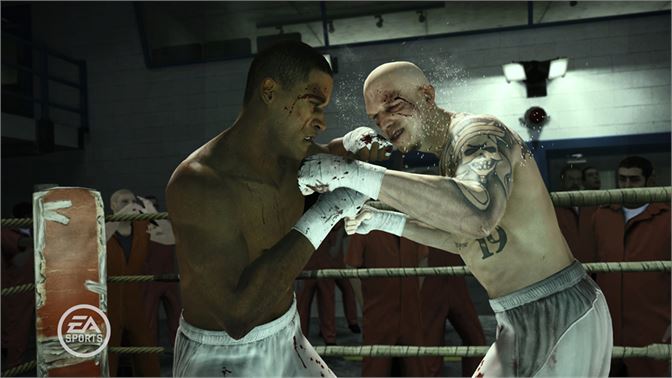fight night round 4 pc system requirements