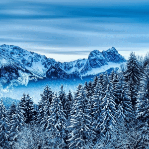 Winter Wallpapers HD