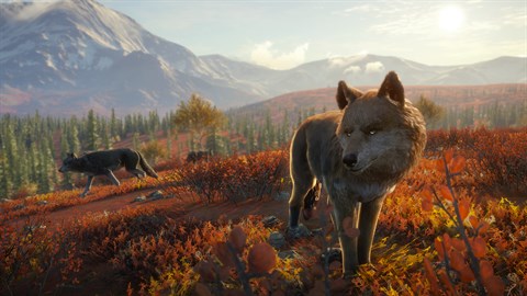 How long is The Hunter: Call of the Wild?