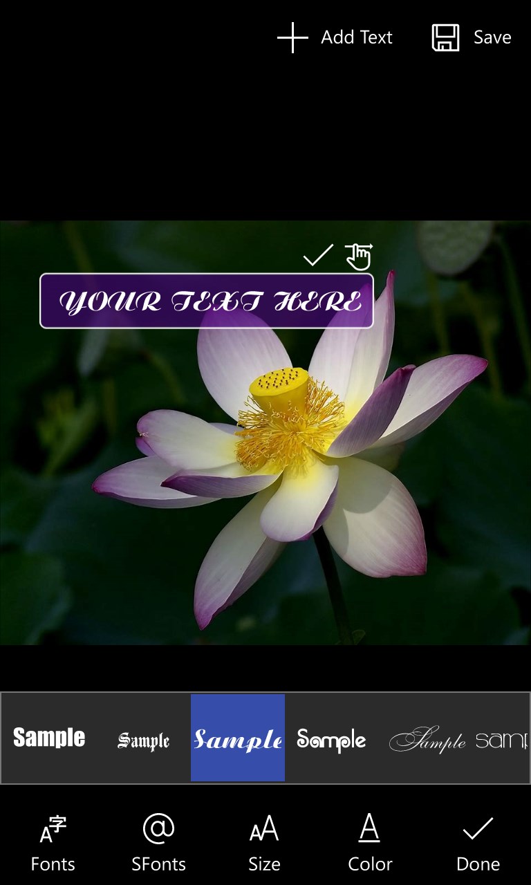 Photo & Text screenshot