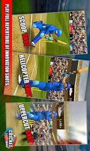 Cricket Play 3D screenshot 3