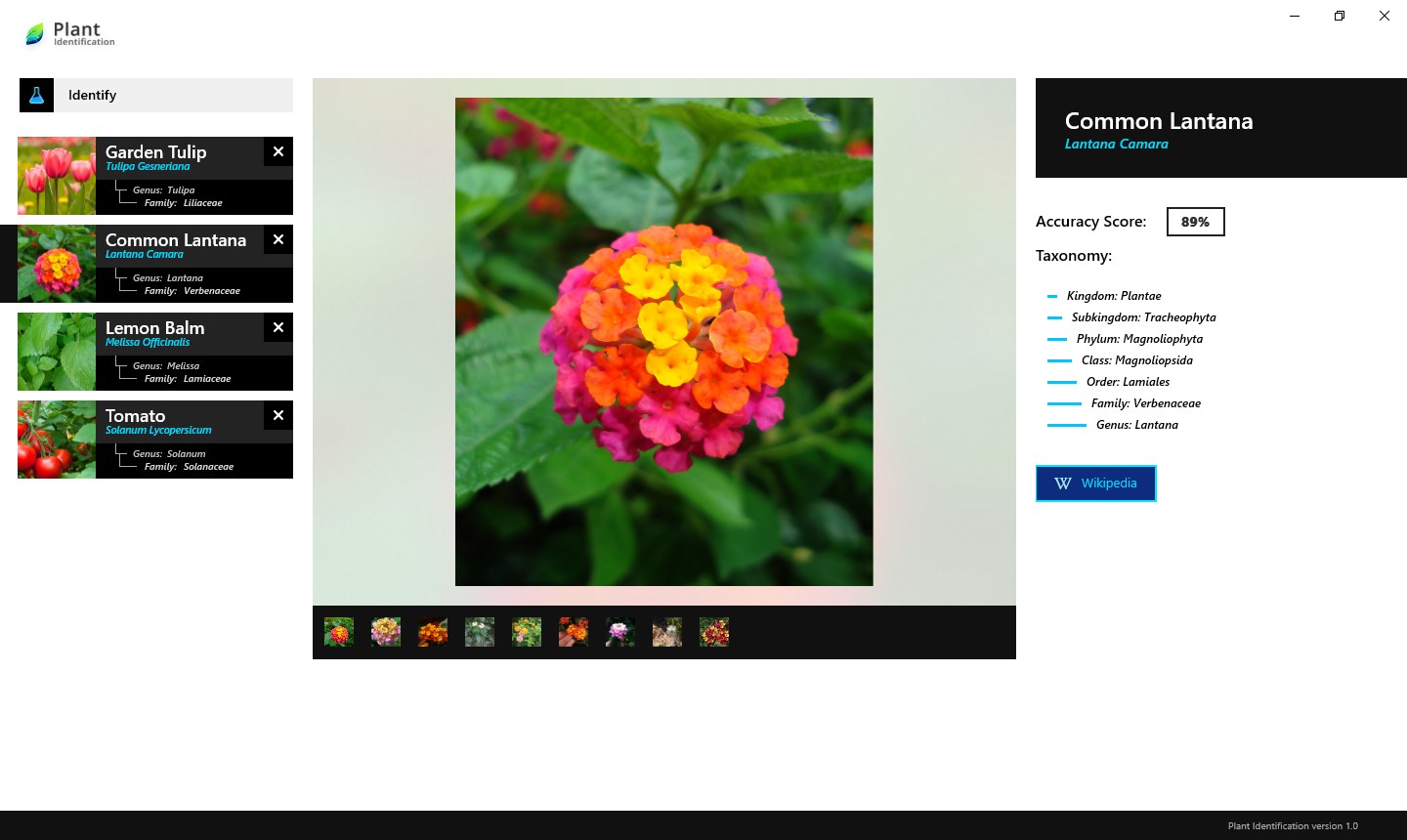 Plant Identification Download and install on Windows Microsoft Store