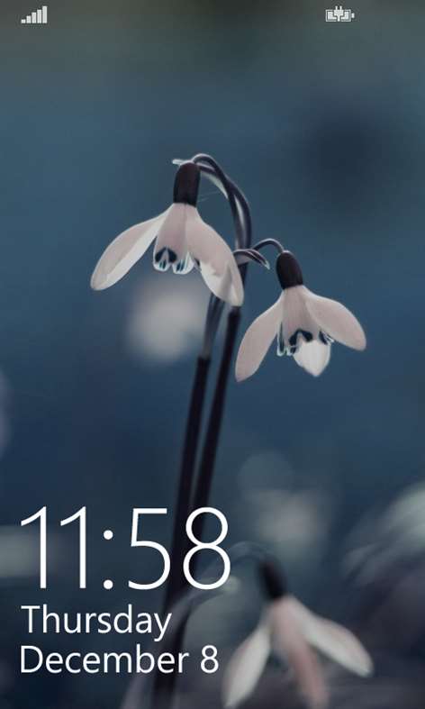 Flower LockScreen Screenshots 1