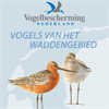 Wadvogels