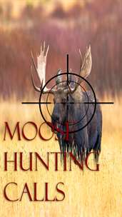 Moose hunting calls screenshot 1