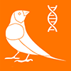 Gouldian finch Calculator