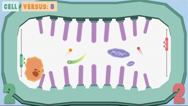 Paddles — 4