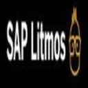 Litmos Auto Fill Missing Settings Addon Microsoft Edge Addons