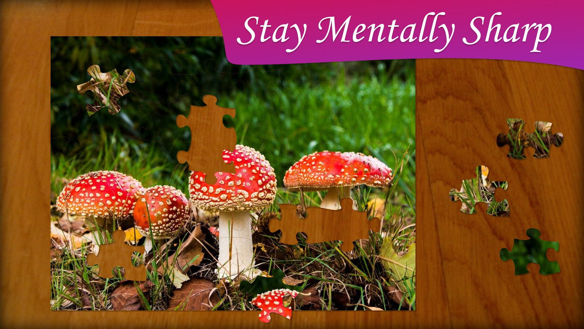 Jigsaw Puzzle Frenzy screenshot