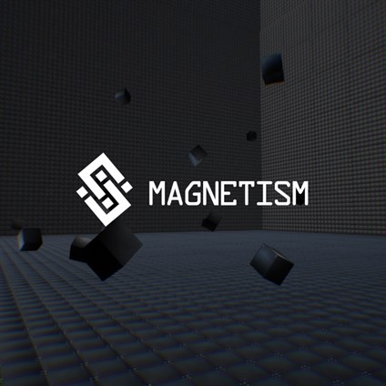 Magnetism X