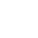 חדשות8