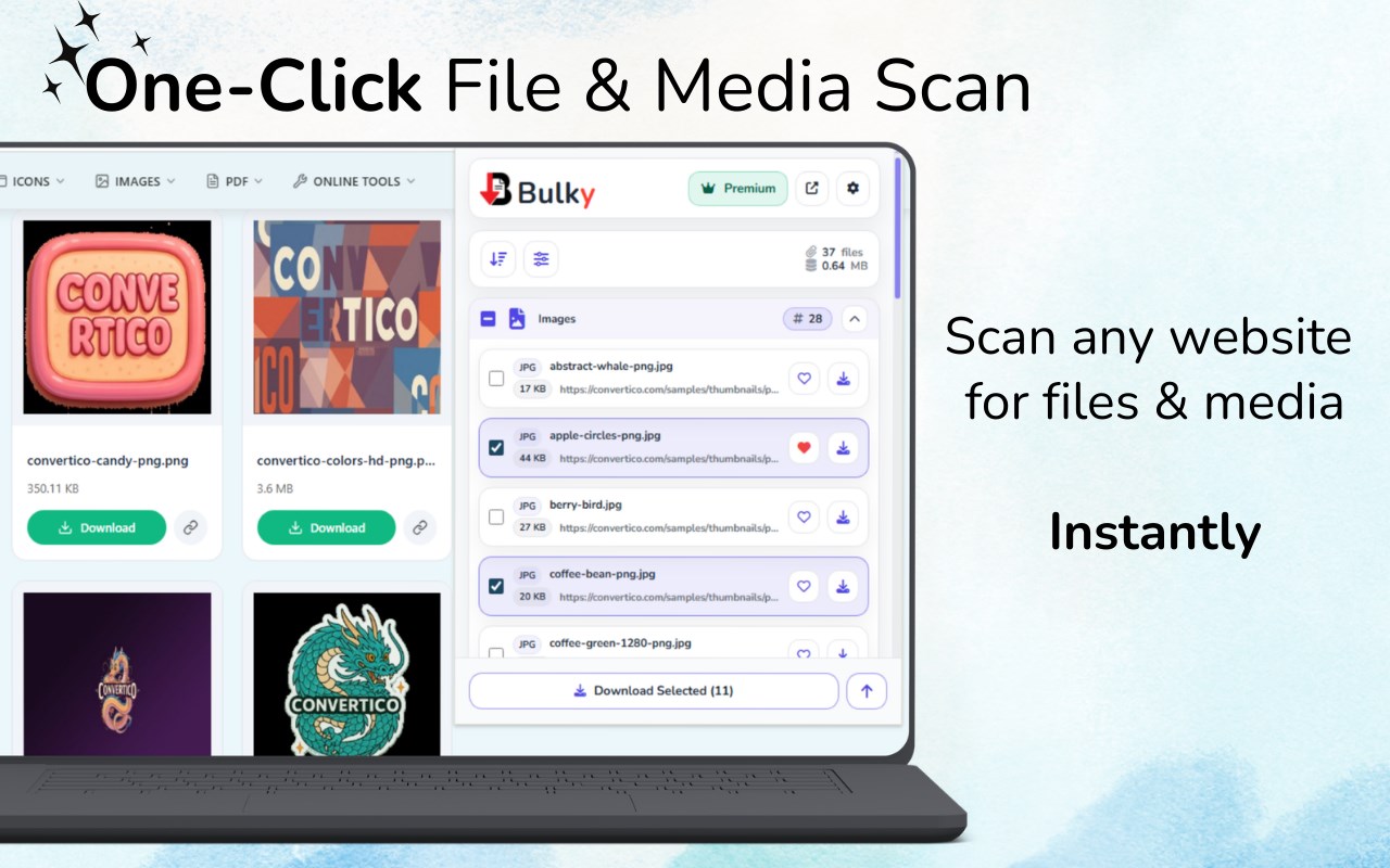 Bulky - Bulk File & Media Downloader