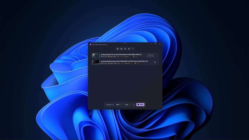 Video Converter - Any Video Converter_4