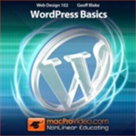 Web Design: WordPress Basics