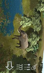 Kids Safari Tour screenshot 8