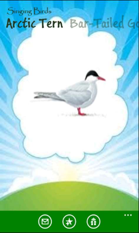 Singing Birds Screenshots 2