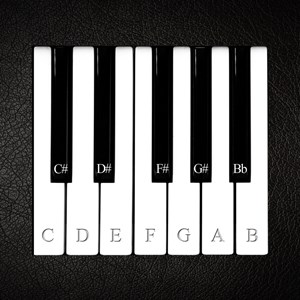 Virtual Piano +