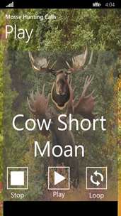 Moose hunting calls screenshot 5
