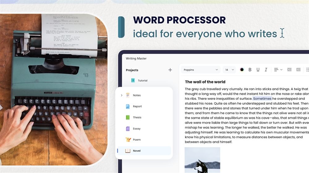 Ma creative writing. Master write. A master of solving. The writing master. The writing master.