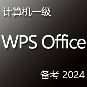 计算机一级 WPS Office 应用