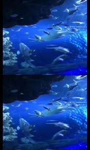 Aquarium Videos 3D screenshot 5