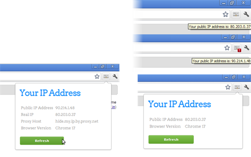 Show IP address - Edge Add-on
