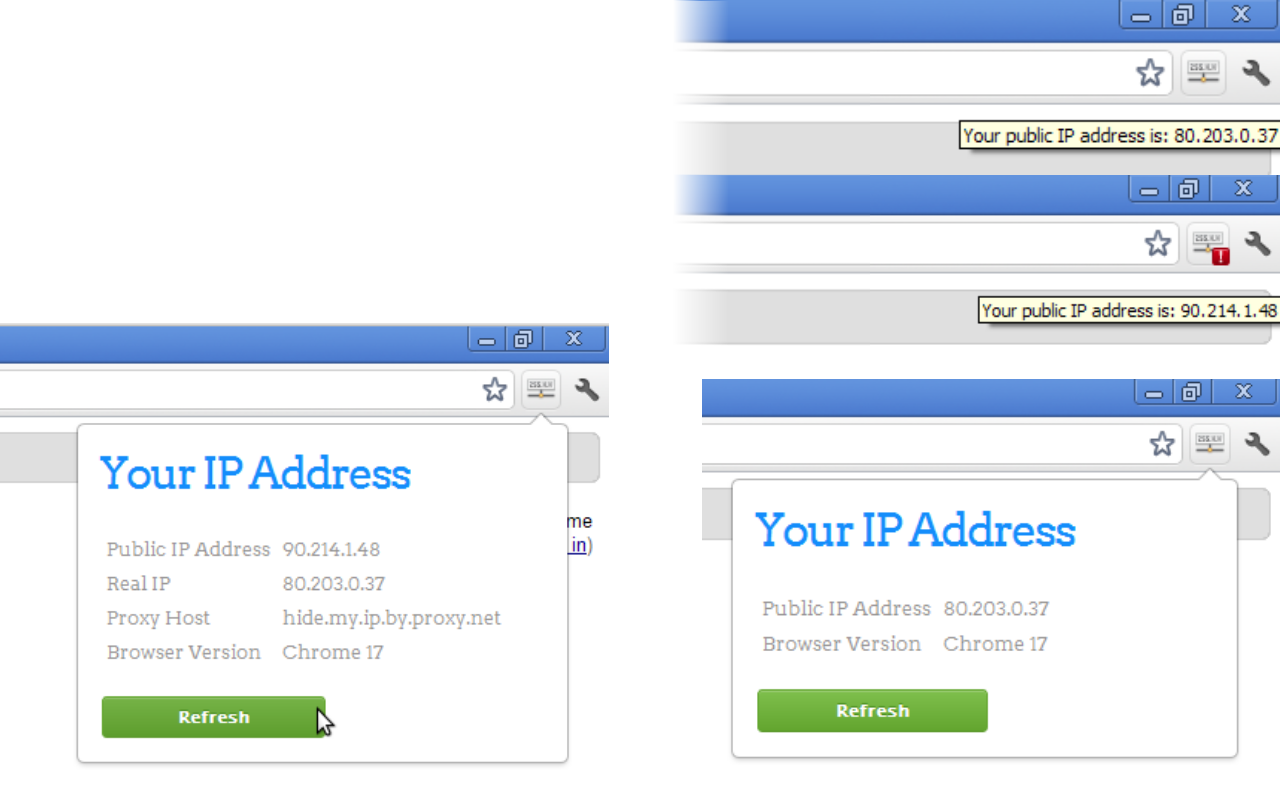 View IP address