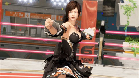 DOA6LR こころ 「Harmonieuse／風雅」