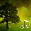Relaxing Sounds of Nature -The Pure Meditation Album