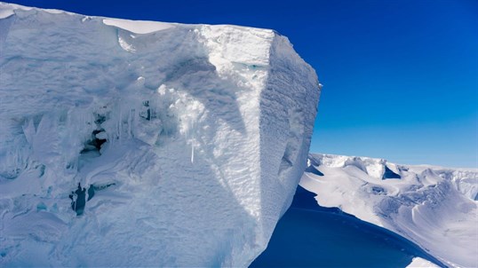 National Geographic Antarctica PREMIUM screenshot