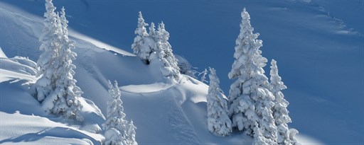 Snow marquee promo image