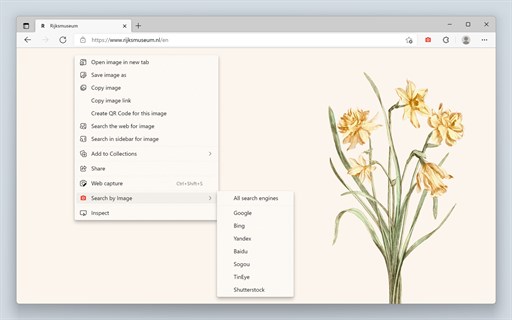 Search by Image: Ultimate Reverse Image Search Tool