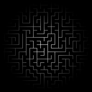 The hardest maze