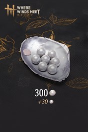 Where Winds Meet-300 Echo Beads