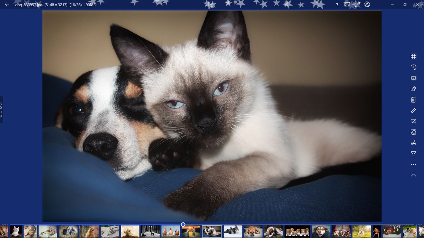 #6. 123 Photos: View, Edit & Convert (Windows) Von: dreamoji.com