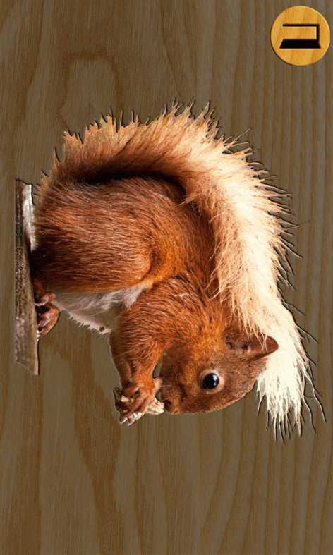 Puzzles: learn animals Screenshots 2