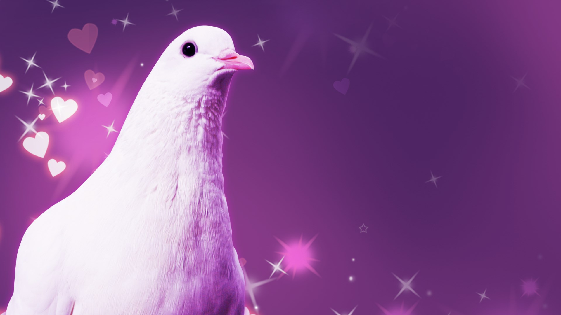 Find the best laptops for Hatoful Boyfriend