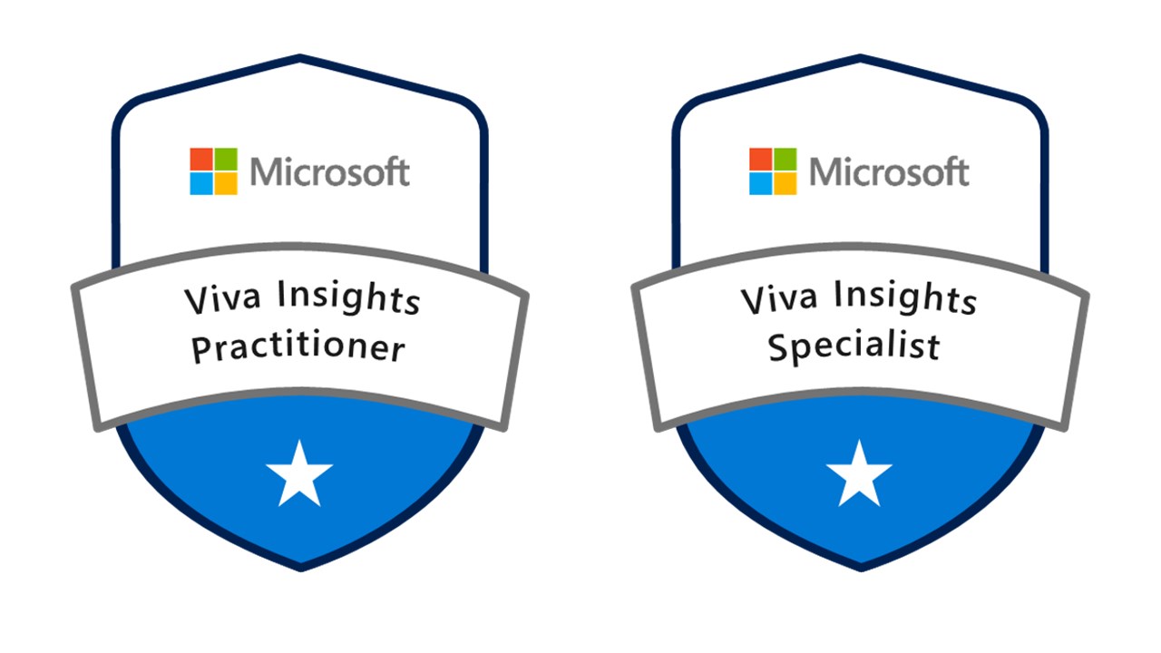 Snapshot 1 of Viva Insights: 6-Weeks Assessment