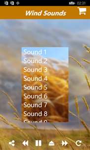 Wind Sounds:Soothing Sounds of wind Relaxation and Mind Therapy screenshot 4