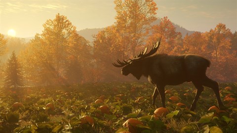 theHunter Call of the Wild™ - New England Mountains