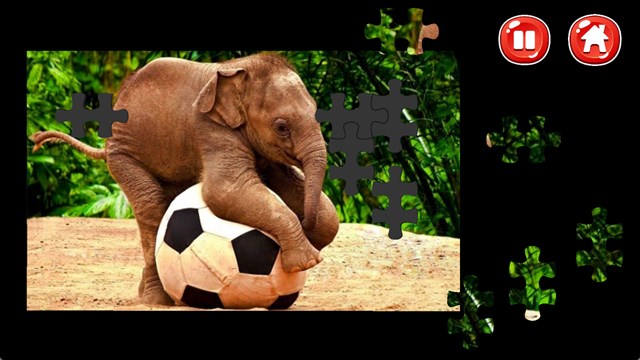 Elephant Jigsaw Puzzles screenshot 2